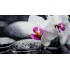 Стол Паук фотопечать Орхидея 041 1100*700(1500)